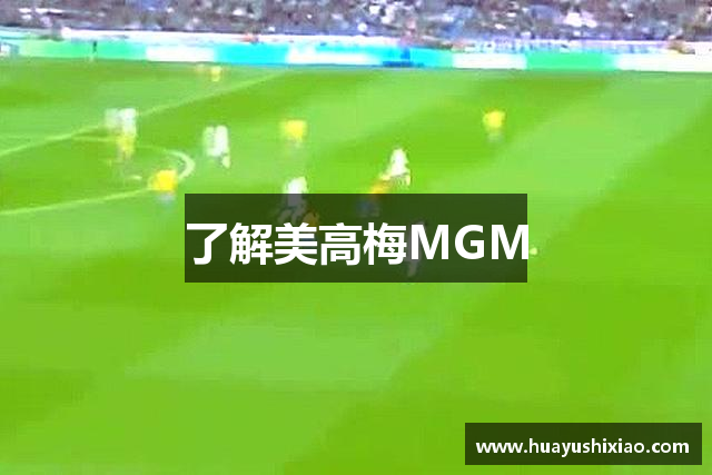 了解美高梅MGM
